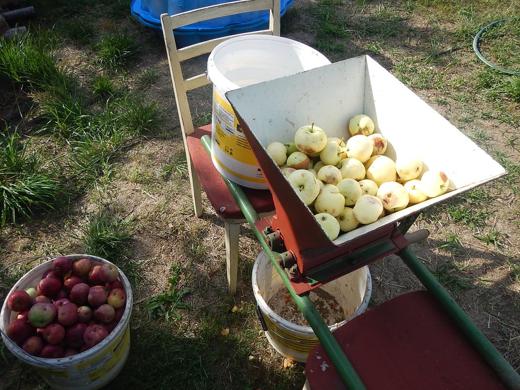 Jablkovica, priprava kvasu, ako na to?, kalvados, sudy, mlynček